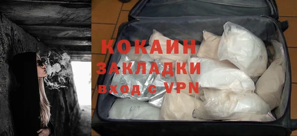 прущие грибы Красноперекопск