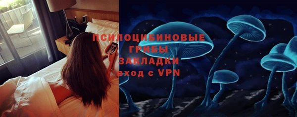 прущие грибы Красноперекопск