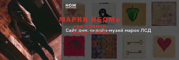 амф Краснослободск