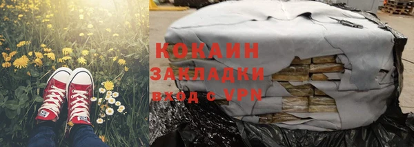 прущие грибы Красноперекопск