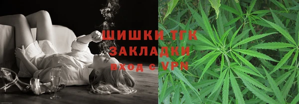 прущие грибы Красноперекопск