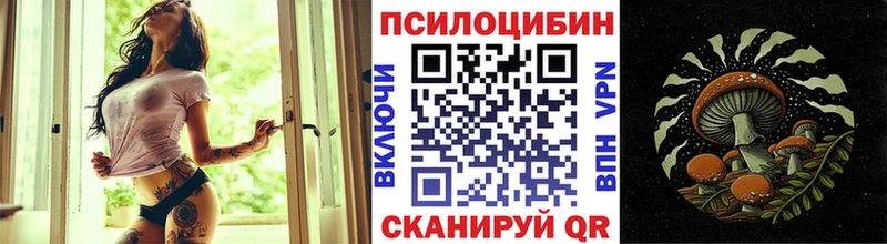 Псилоцибиновые грибы Psilocybine cubensis  Купить закладки  Гудермес 